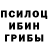 Псилоцибиновые грибы прущие грибы Boris Lozhkin