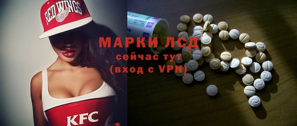 apvp Алзамай